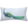 Indoor/Outdoor Dramatic Peacock Lumbar Decorative Pillow 2 Indoor/Outdoor Dramatic Peacock Lumbar Decorative Pillow -Throw Pillows Discount 3030966193 RLLD 1