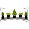 Indoor/Outdoor Modern Dimensional Topiary Decorative Pillow