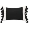 Indoor & Outdoor Colorblock Tassel Fringe Lumbar Decorative Pillow -Throw Pillows Discount 3030966202 RLLD 1