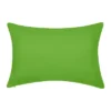 Embroidered Dragonflies Rectangular Indoor/Outdoor Throw Pillow Leaf Green/White - Edie@Home 2 Embroidered Dragonflies Rectangular Indoor/Outdoor Throw Pillow Leaf Green/White - Edie@Home -Throw Pillows Discount GUEST 16e57d09 1692 41fa a277 d149956ea501