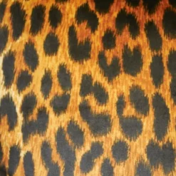 18"x18" Jazzy Leopard Square Throw Pillow - Edie@Home: Luxury Glam Velvet, Indoor Decorative, Zippered 9 18"x18" Jazzy Leopard Square Throw Pillow - Edie@Home: Luxury Glam Velvet, Indoor Decorative, Zippered -Throw Pillows Discount GUEST 421d5852 0717 44d2 91d7 5c939d80a602