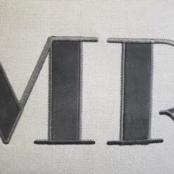 17"x17" Celebrations Embroidered Applique Square Throw Pillow Oyster - Edie@Home